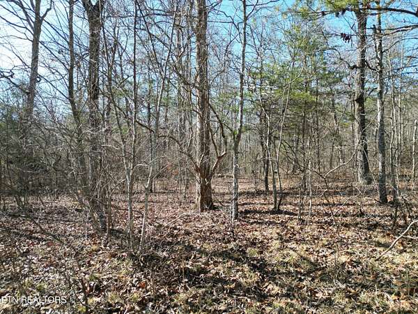 0.27 Acres of Residential Land for Sale in Crossville, Tennessee