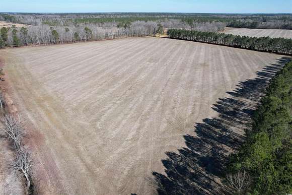 30 Acres of Recreational Land & Farm for Sale in Kingstree, South Carolina