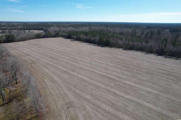 36.2 Acres of Recreational Land & Farm for Sale in Kingstree, South Carolina