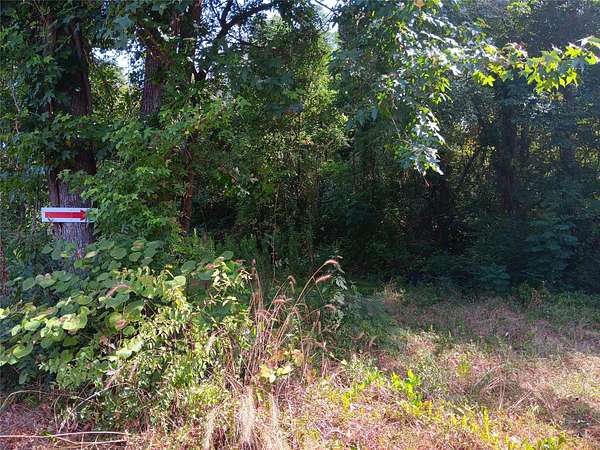 10 Acres of Residential Land for Sale in Carthage, Texas