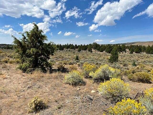 14.6 Acres of Recreational Land & Farm for Sale in Brothers, Oregon