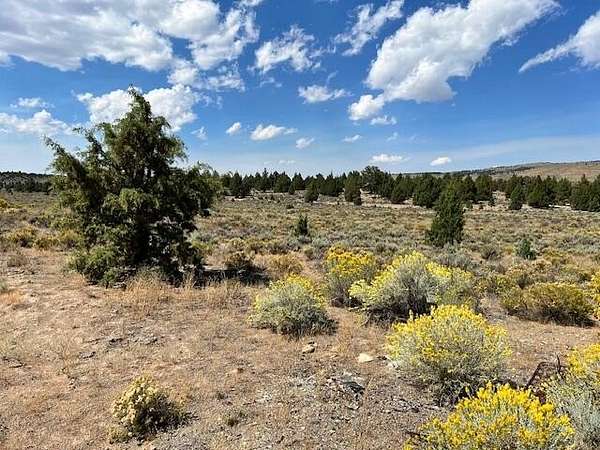 14.6 Acres of Recreational Land & Farm for Sale in Brothers, Oregon