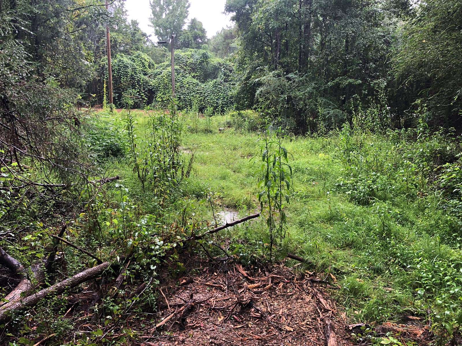 1.48 Acres of Residential Land for Sale in Beauregard, Alabama