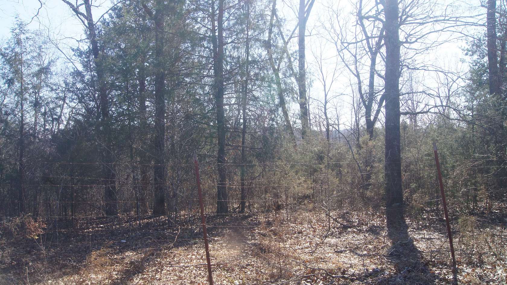 5 Acres of Land for Sale in Williford, Arkansas