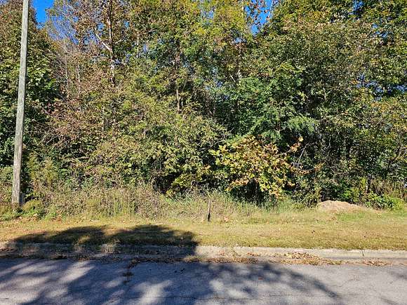 1.68 Acres of Mixed-Use Land for Auction in Danville, Virginia