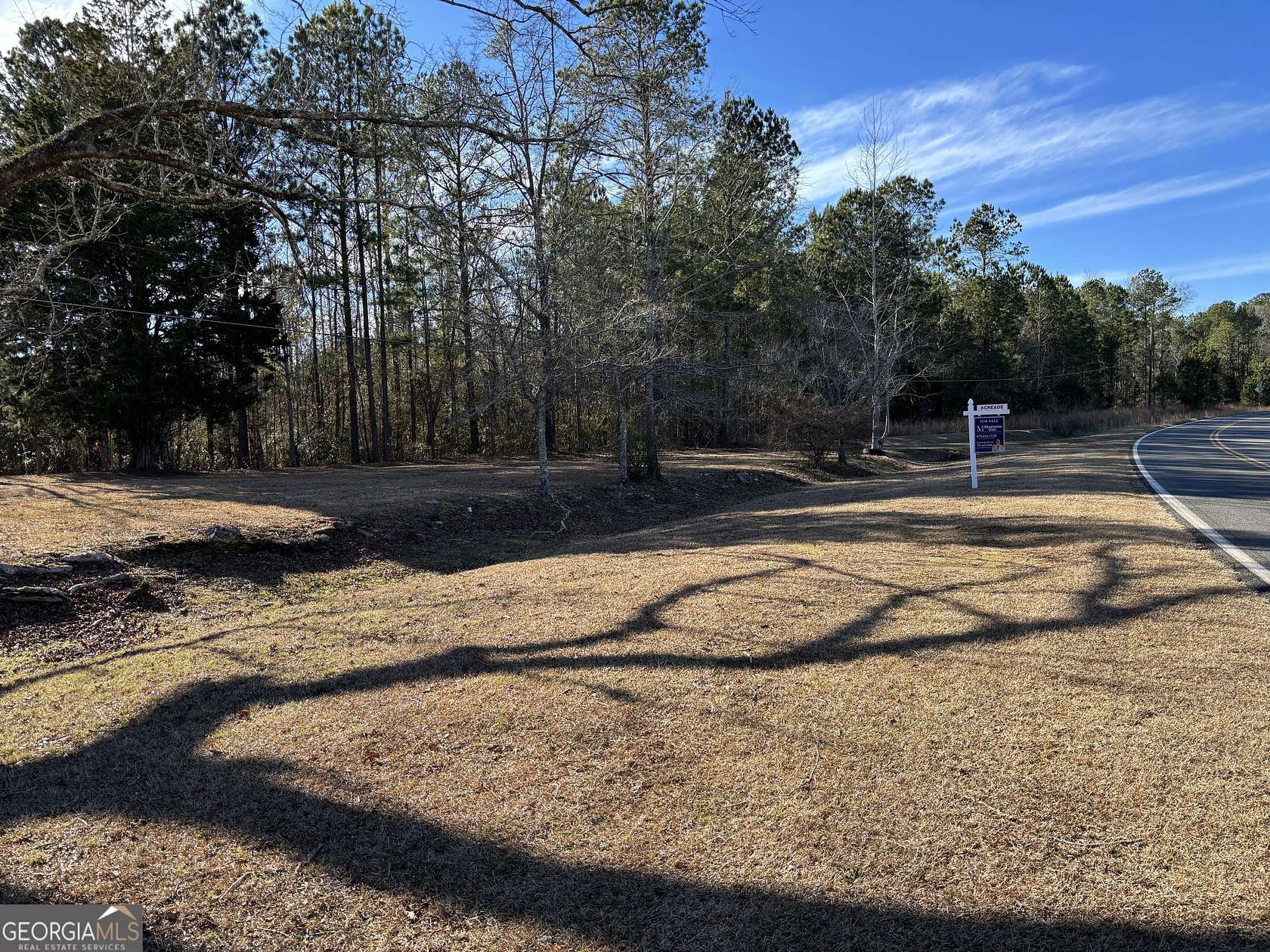 18 Acres of Land for Sale in Shiloh, Georgia