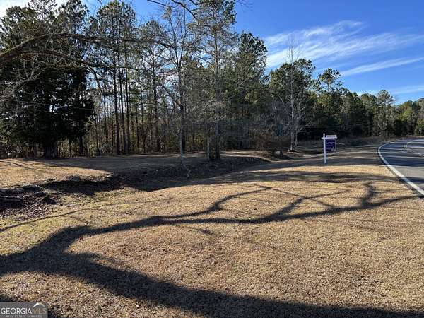 18 Acres of Land for Sale in Shiloh, Georgia