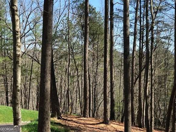 1.19 Acres of Residential Land for Sale in Ellijay, Georgia