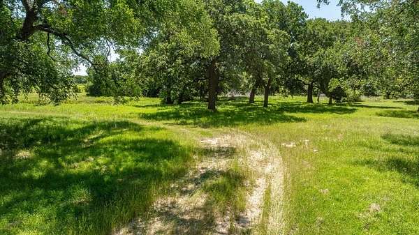 64 Acres of Agricultural Land for Sale in Iredell, Texas