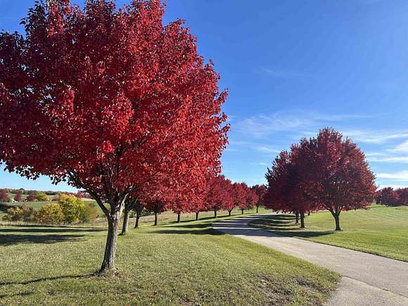 24.95 Acres of Land with Home for Sale in Monroe, Wisconsin