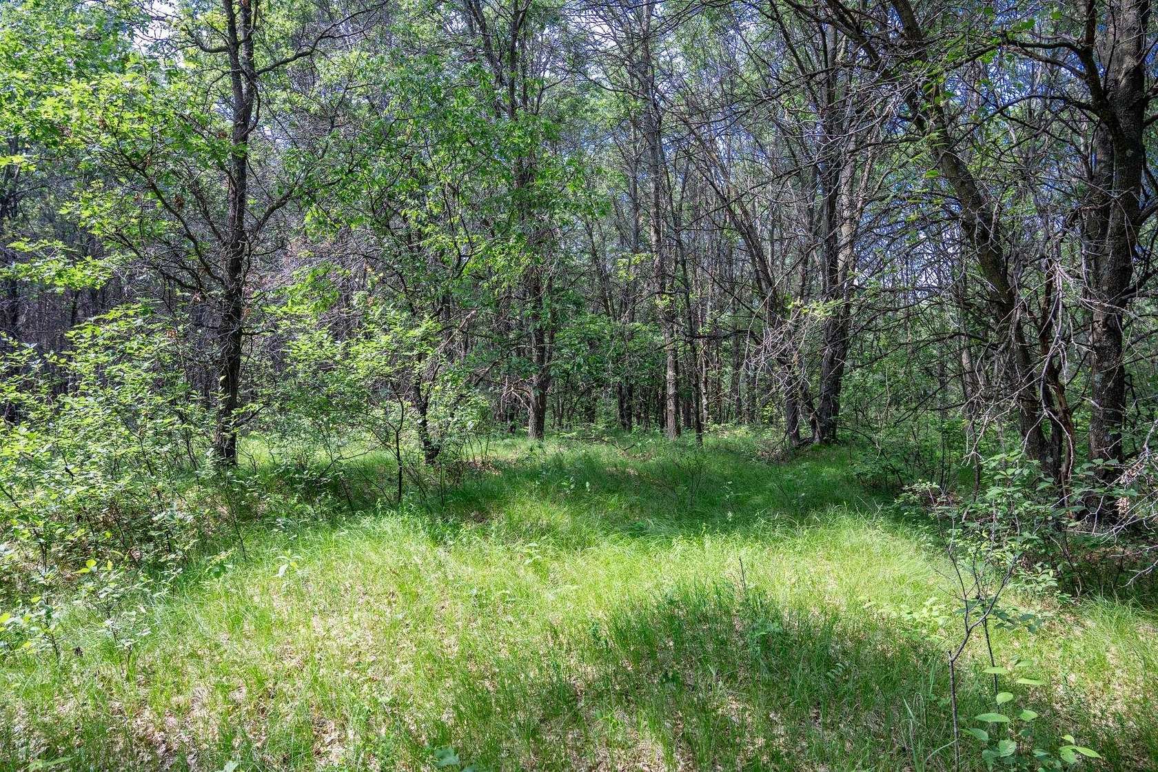 2 Acres of Residential Land for Sale in Nekoosa, Wisconsin