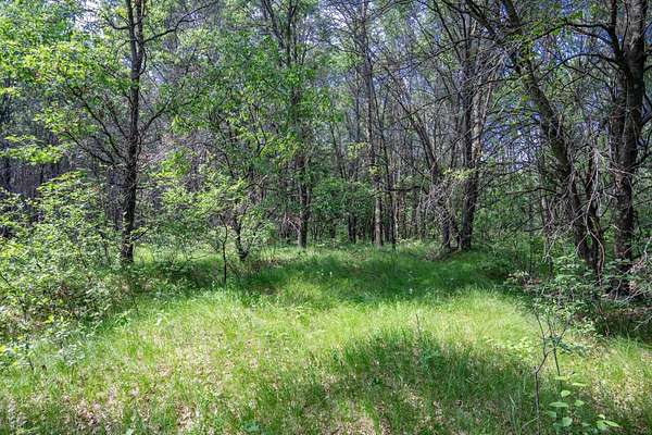 2 Acres of Residential Land for Sale in Nekoosa, Wisconsin