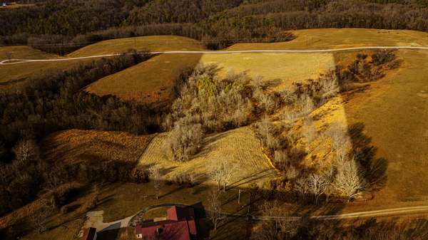 10 Acres of Recreational Land for Sale in Blue Eye, Missouri