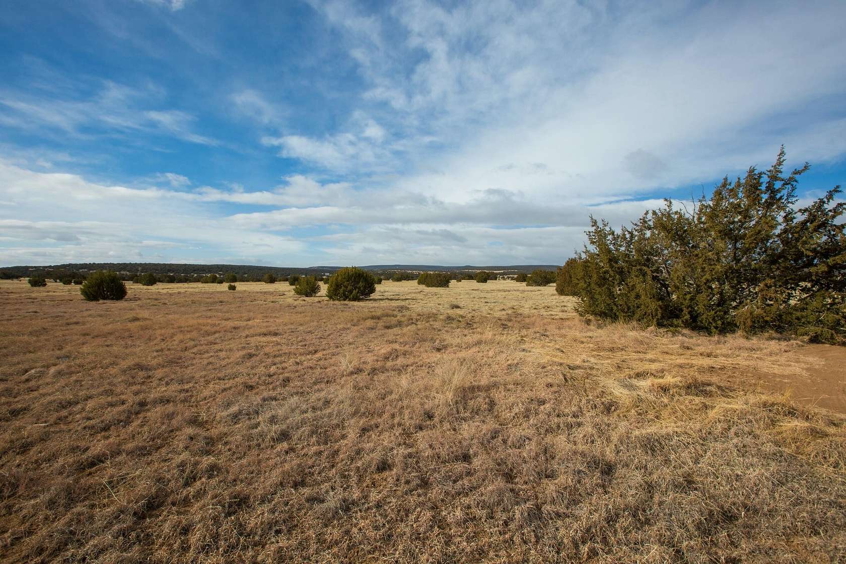 2.7 Acres of Residential Land for Sale in Edgewood, New Mexico