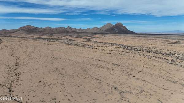 135 Acres of Recreational Land for Sale in Columbus, New Mexico