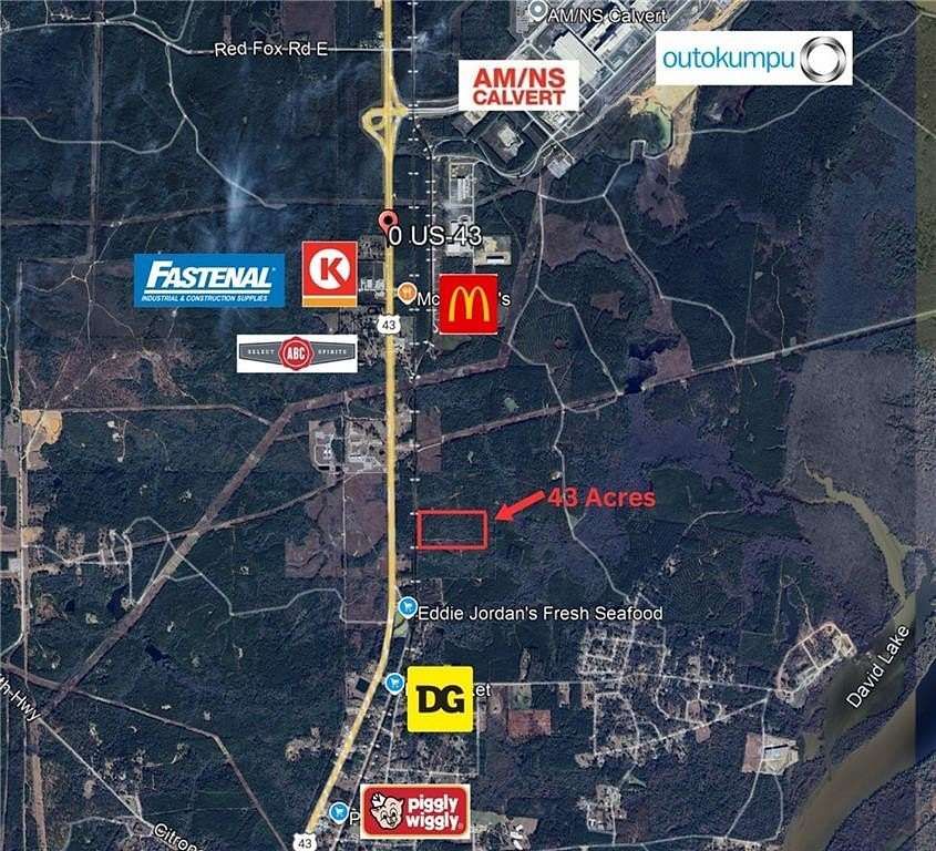 43 Acres of Land for Sale in Mount Vernon, Alabama