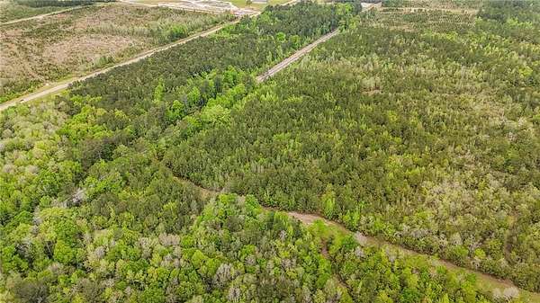 43 Acres of Land for Sale in Mount Vernon, Alabama