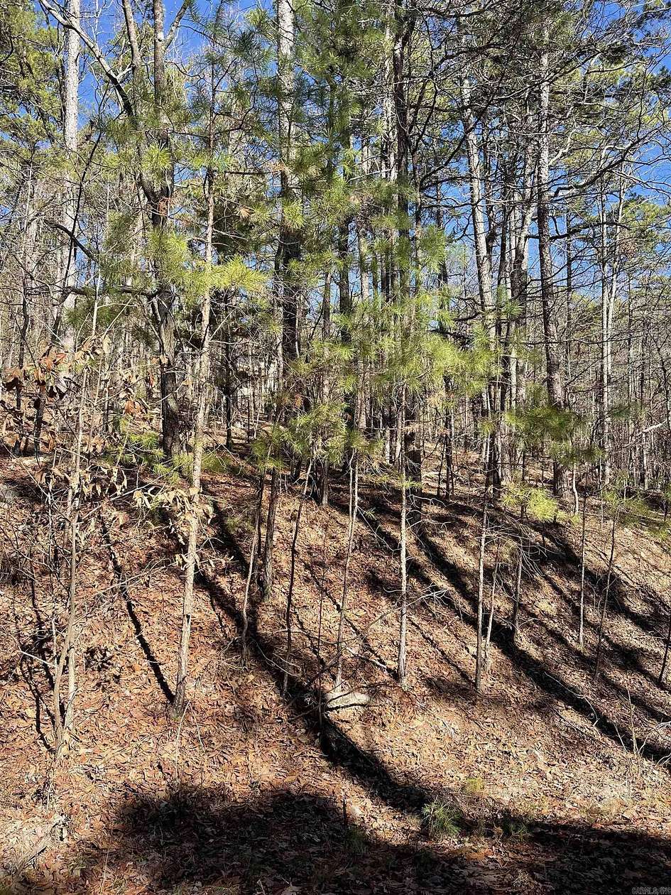 0.29 Acres of Land for Sale in Hot Springs Village, Arkansas