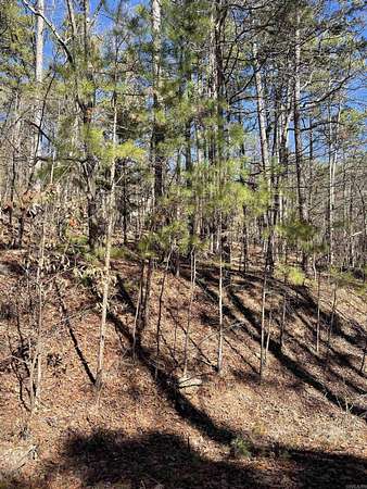 0.29 Acres of Land for Sale in Hot Springs Village, Arkansas