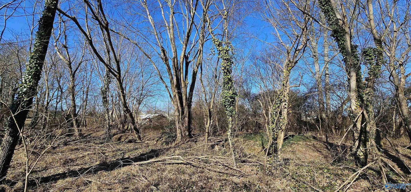 1 Acre of Land for Sale in Geraldine, Alabama