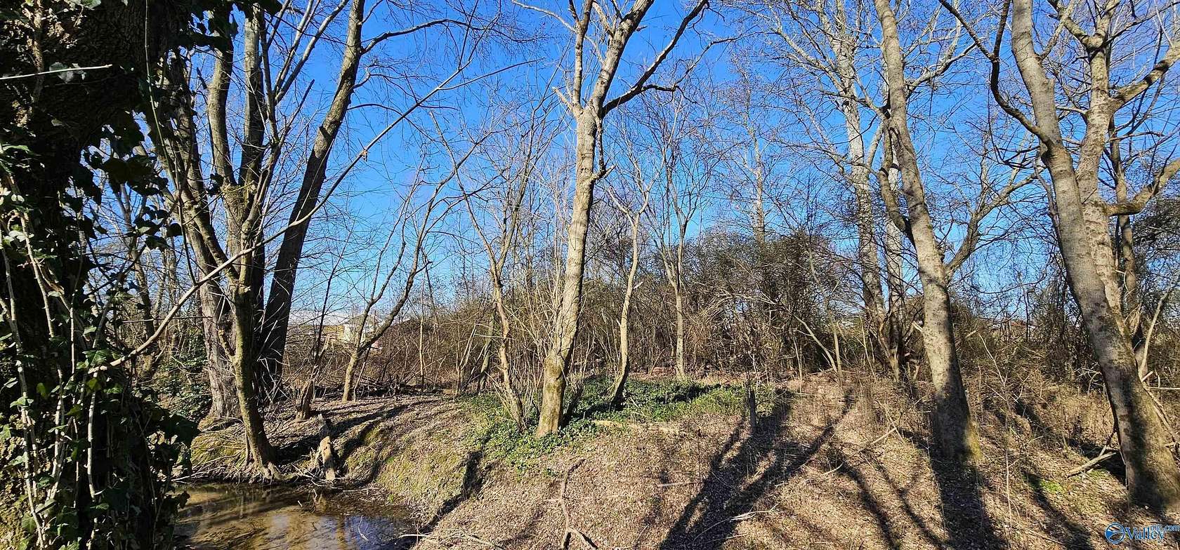 1 Acre of Land for Sale in Geraldine, Alabama
