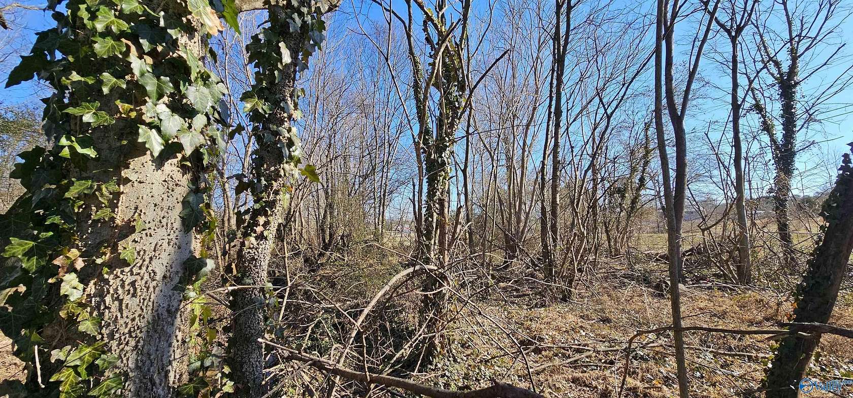 1 Acre of Land for Sale in Geraldine, Alabama