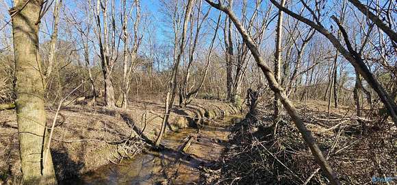 1 Acre of Land for Sale in Geraldine, Alabama