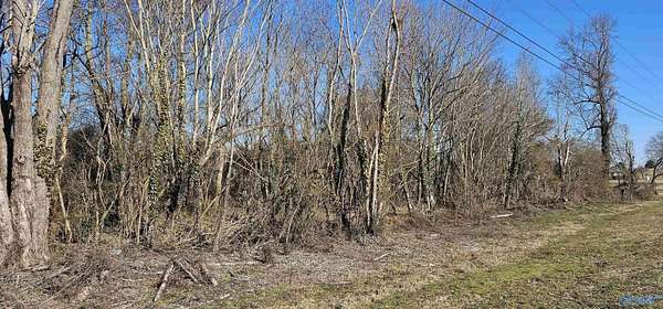 1 Acre of Land for Sale in Geraldine, Alabama