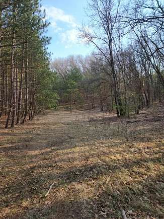 9 Acres of Residential Land for Sale in Holton, Michigan