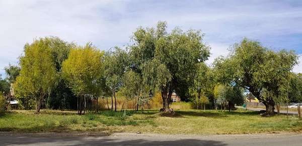 0.46 Acres of Mixed-Use Land for Sale in Arroyo Seco, New Mexico