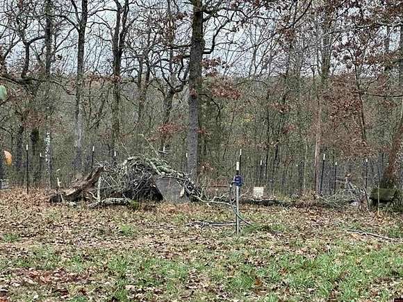 5 Acres of Land for Sale in Clarkridge, Arkansas