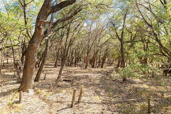0.59 Acres of Residential Land for Sale in Lago Vista, Texas