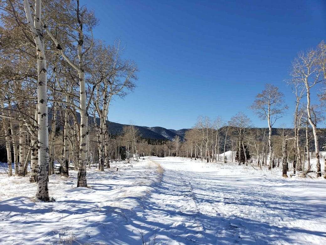 1.4 Acres of Residential Land for Sale in Fort Garland, Colorado