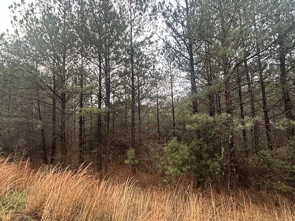 0.56 Acres of Residential Land for Sale in Ocoee, Tennessee