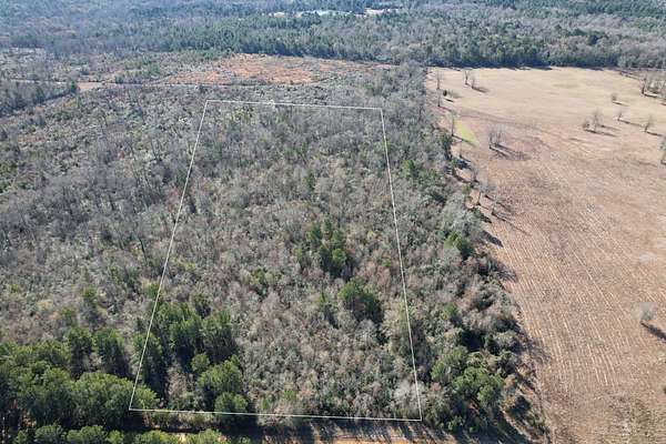 15.5 Acres of Recreational & Residential Land for Sale in Timpson, Texas