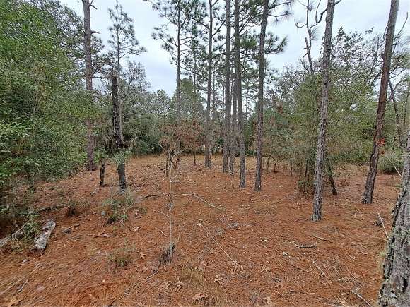 1.16 Acres of Residential Land for Sale in Webster, Florida