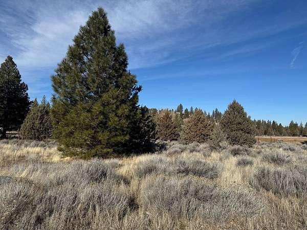 0.25 Acres of Residential Land for Sale in Weed, California