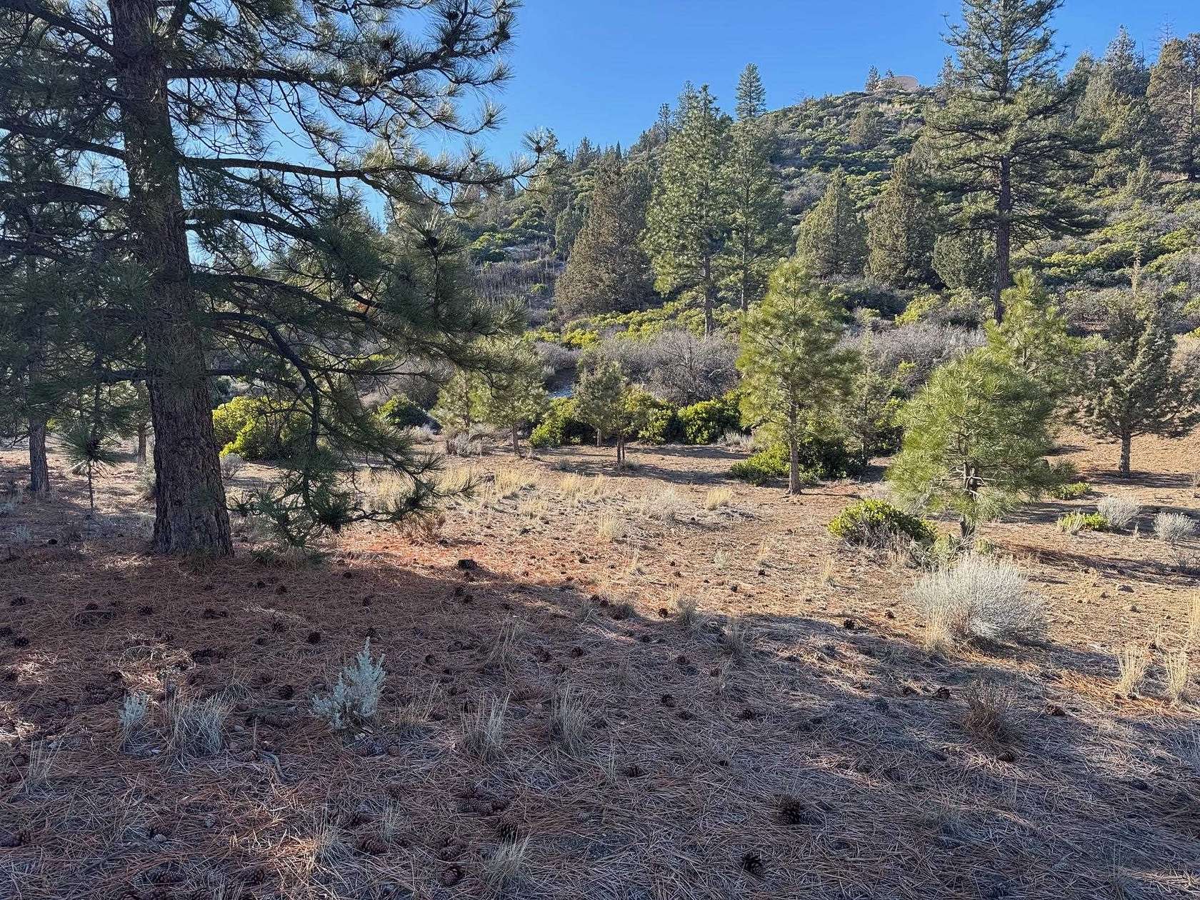 0.43 Acres of Residential Land for Sale in Weed, California