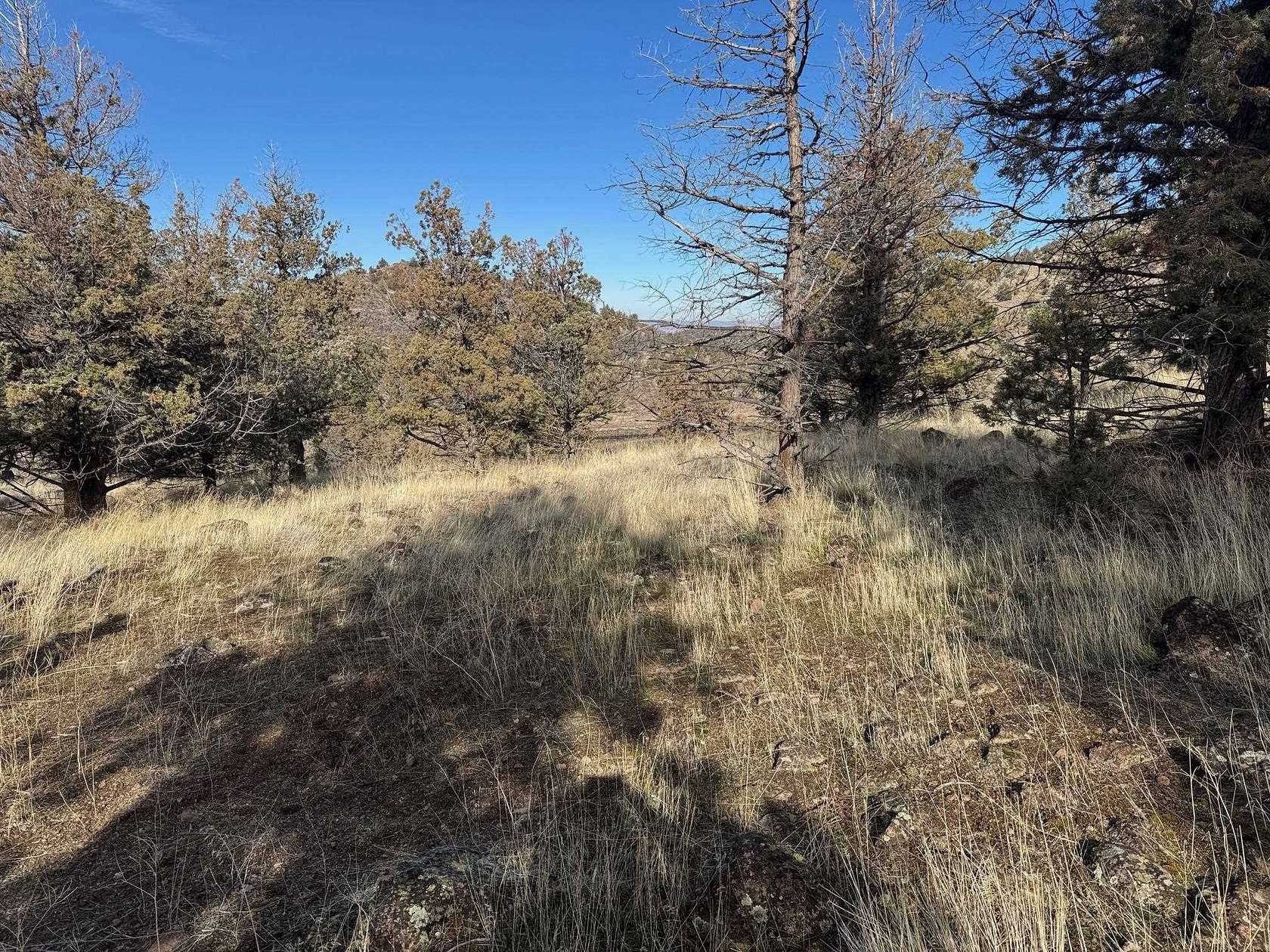 0.23 Acres of Land for Sale in Weed, California