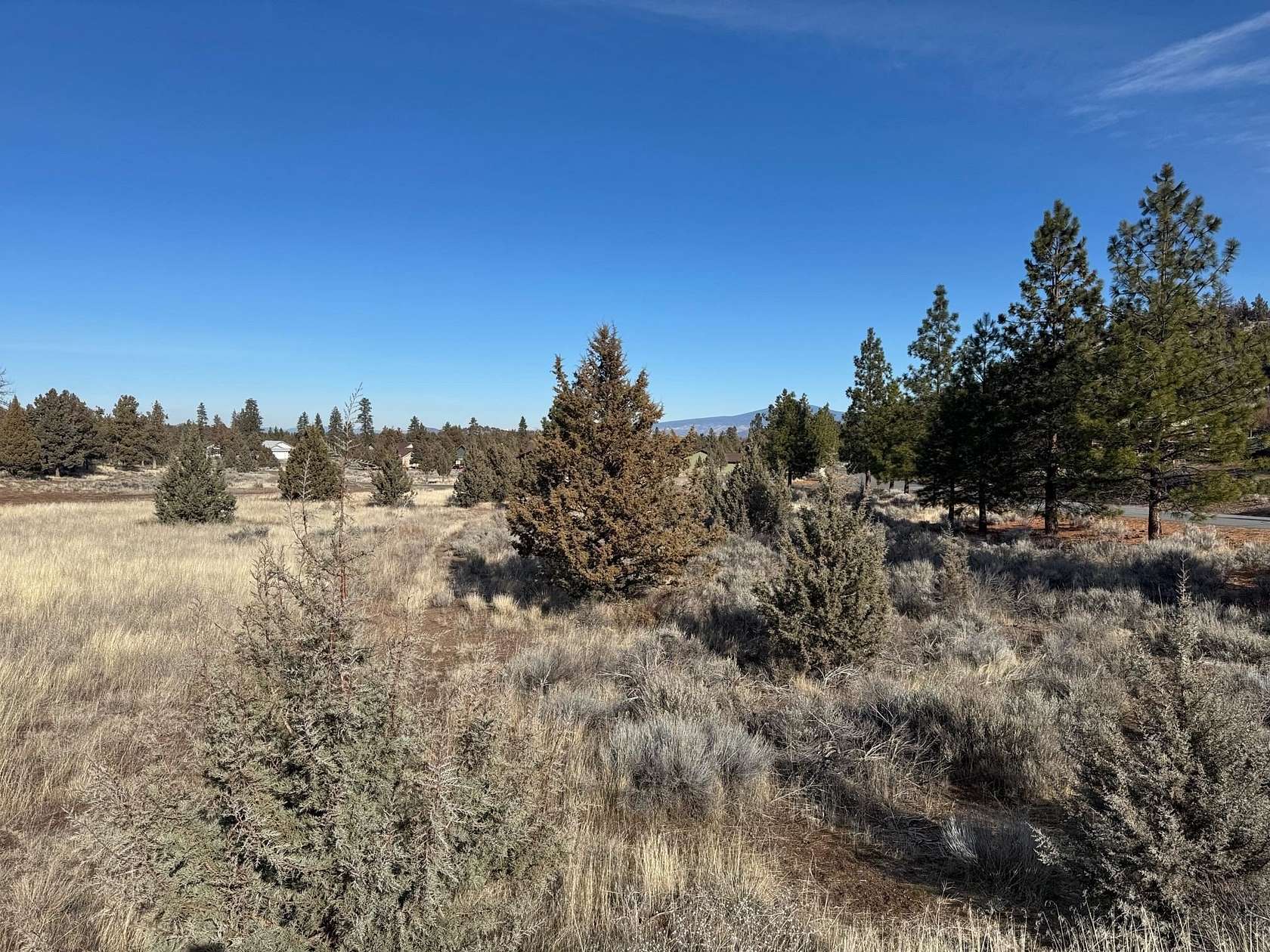 0.28 Acres of Land for Sale in Weed, California
