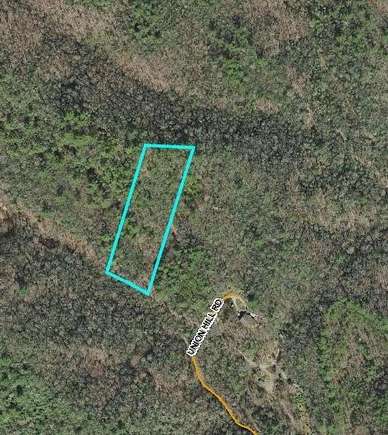 Residential Land for Sale in Topton, North Carolina