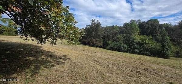 6.8 Acres of Residential Land for Sale in Loudon, Tennessee