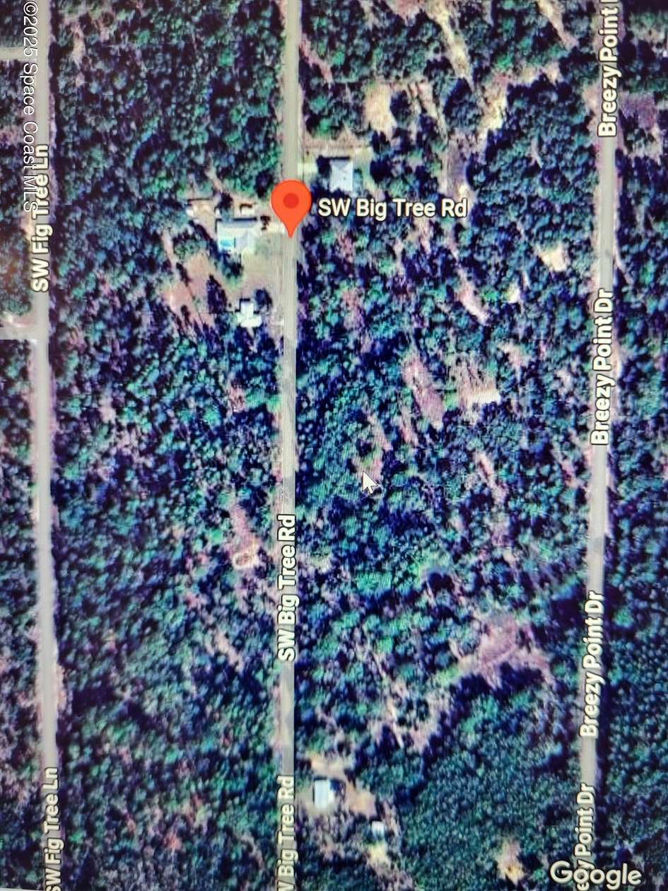1 Acre of Residential Land for Sale in Dunnellon, Florida