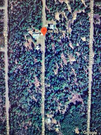 1 Acre of Residential Land for Sale in Dunnellon, Florida