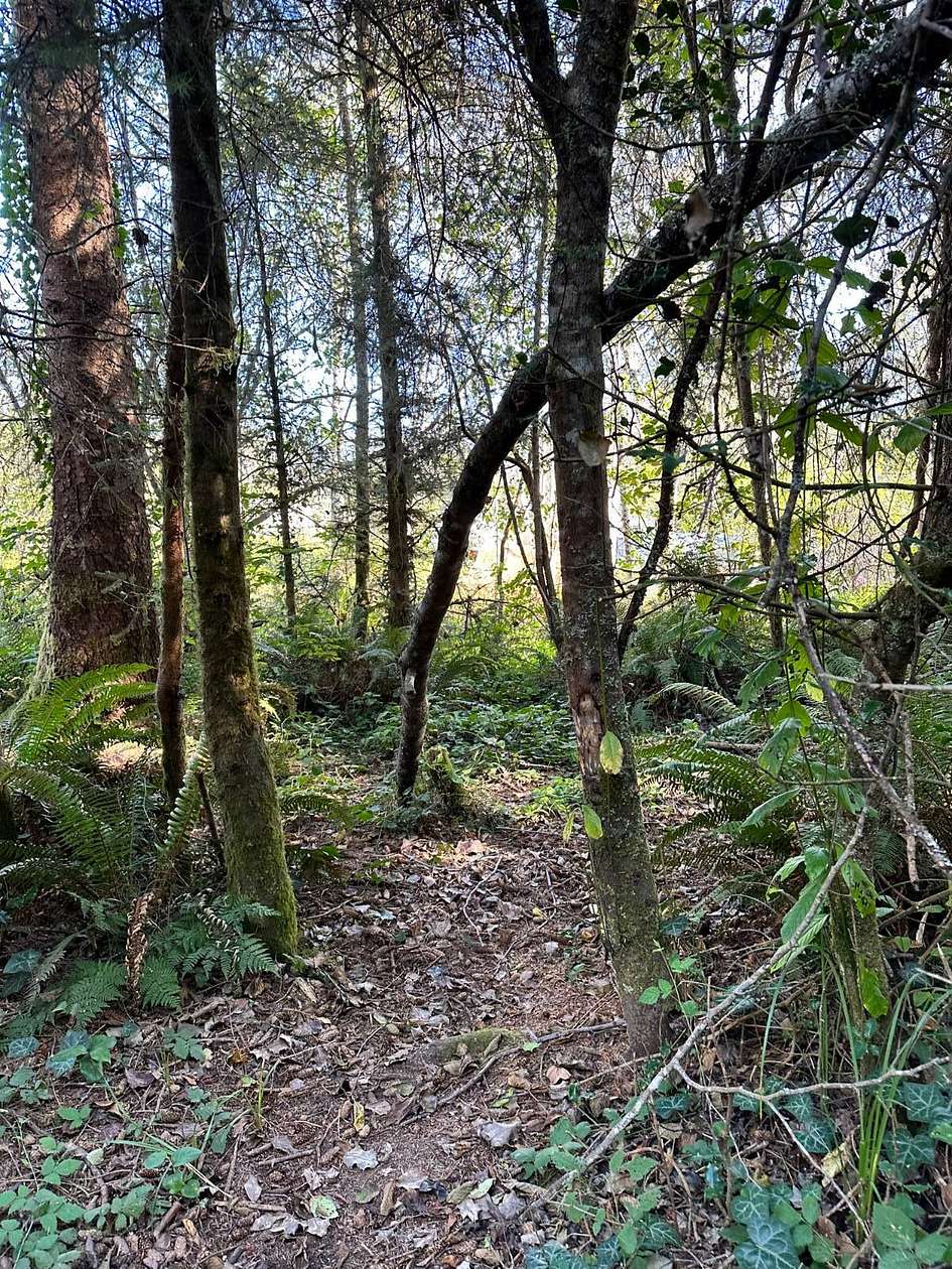 0.68 Acres of Residential Land for Sale in Crescent City, California