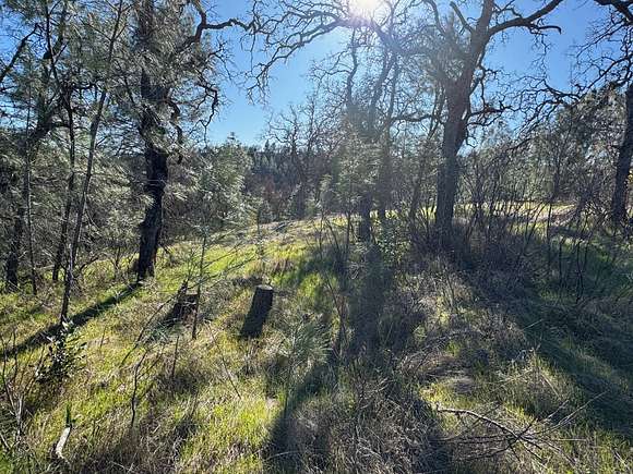 1.63 Acres of Residential Land for Sale in Corning, California