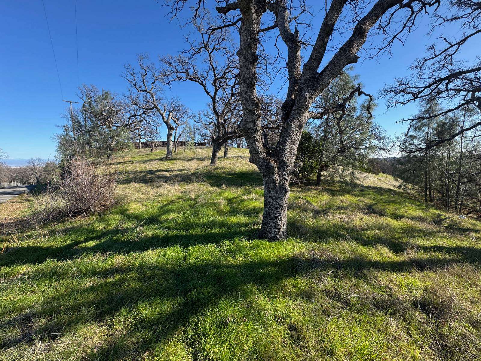 1.43 Acres of Residential Land for Sale in Corning, California