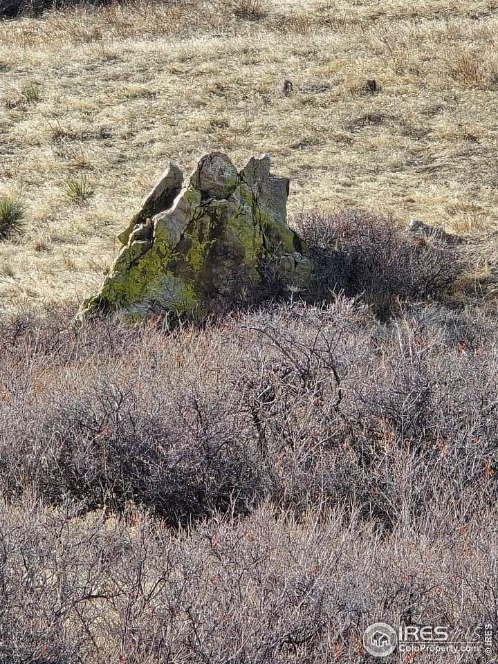 35 Acres of Land for Sale in Berthoud, Colorado