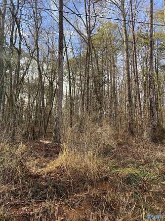 0.65 Acres of Residential Land for Sale in Scottsboro, Alabama