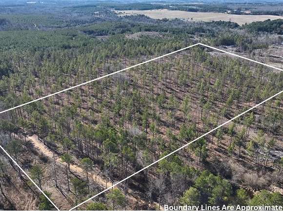 13 Acres of Recreational Land for Sale in Haleyville, Alabama